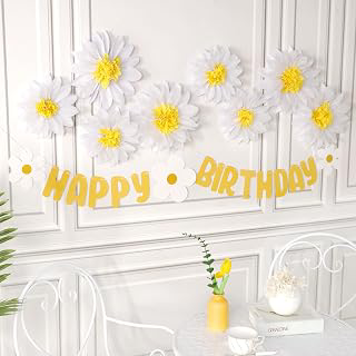 Daisy Tissue Paper Pom Poms,Daisy Birthday Party Decorations ,Premium Tissue Paper Flowers Decorations for Wall, 1st Birthday, Baby Shower: Ombre Dyeing and Production Notes