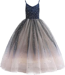 Glamulice Princess Sparkle Tulle Dress Flower Girl Little/Big Girls Wedding Bridesmaid Dresses Pageant Party Ball Gown: Ombre Dyeing and Production Notes