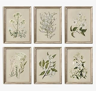 Vintage Botanical Wall Art Set of 6 Neutral Floral Canvas Wall Decor Wildflower Wall Art Watercolor Flower Prints Botanical Poster Minimalist: Print Design and Production Notes