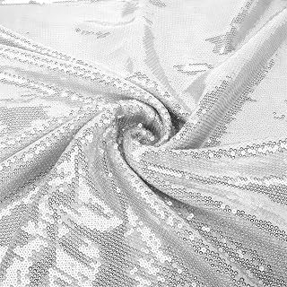 Silver Fishscalr Emboideed equin Fabric 51