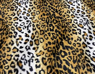 AMORNPHAN 58