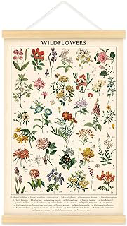 Wildflower Botanical Chart Poster, Vintage Floral Wall Art, 15.7 x 23.6 in: Print Design and Production Notes