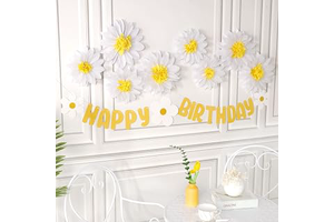 Daisy Tissue Paper Pom Poms,Daisy Birthday Party Decorations ,Premium Tissue Paper Flowers Decorations for Wall, 1st Birthday, Baby Shower: Ombre Dyeing and Production Notes
