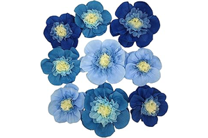 Mybbshower 9 Pack Ombre Blue Crepe Paper Flowers for Wedding Arch, Nursery Wall Birthday Engagement Party, Baby Shower Decorations and Photo: Ombre Dyeing and Production Notes