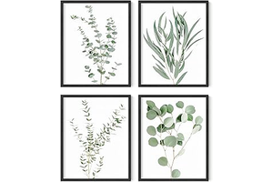 HAUS AND HUES Botanical Plant Wall Art Prints - Set of 4 Plant Decor Prints, Floral Kitchen Pictures, Flower Leaves Wall Art, Boho Leaf: Print Design and Production Notes