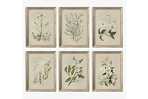 Vintage Botanical Wall Art Set of 6 Neutral Floral Canvas Wall Decor Wildflower Wall Art Watercolor Flower Prints Botanical Poster Minimalist: Print Design and Production Notes