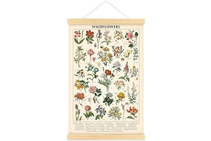 Wildflower Botanical Chart Poster, Vintage Floral Wall Art, 15.7 x 23.6 in: Print Design and Production Notes